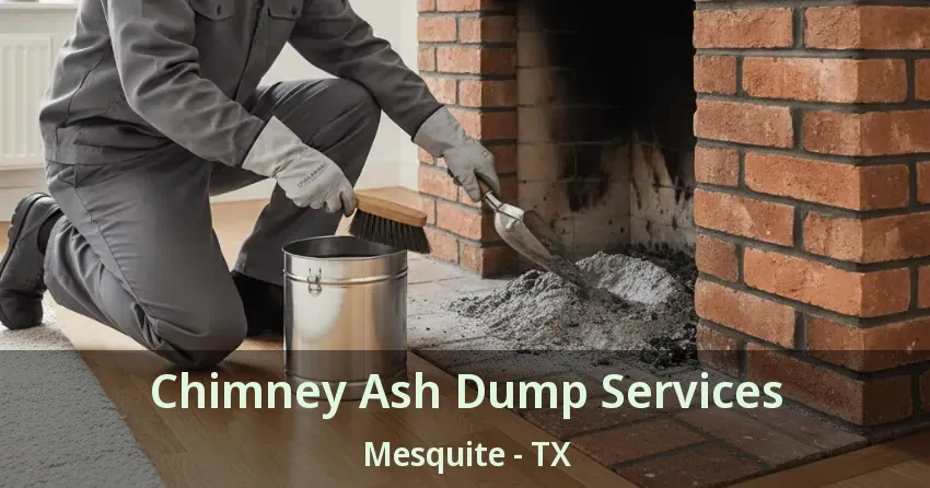 Chimney Ash Dump Services Mesquite - TX