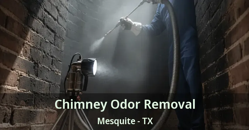 Chimney Odor Removal Mesquite - TX