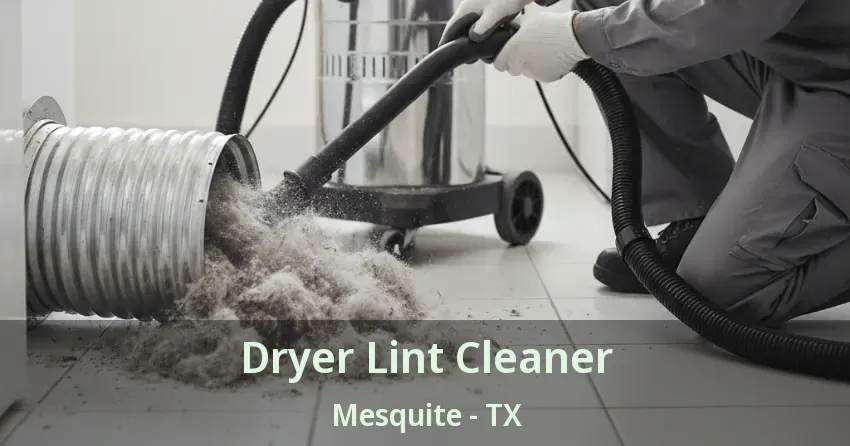 Dryer Lint Cleaner Mesquite - TX