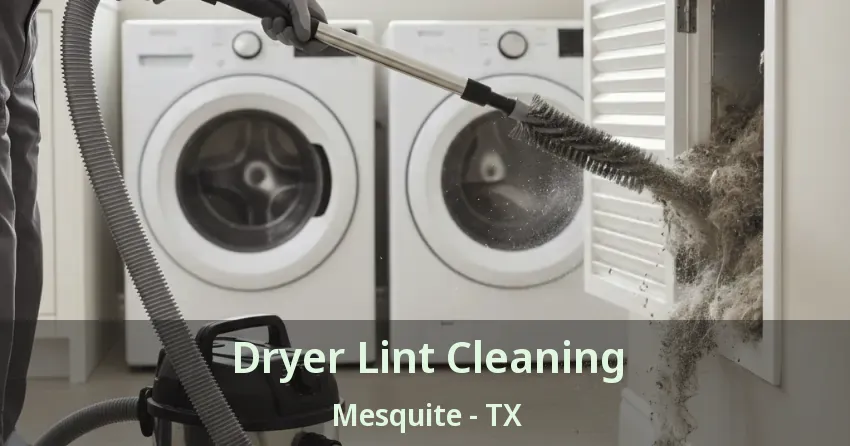 Dryer Lint Cleaning Mesquite - TX