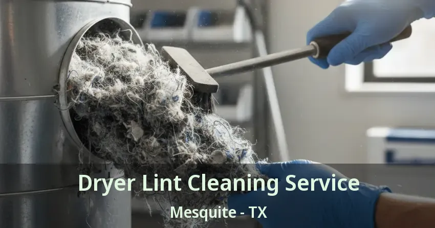 Dryer Lint Cleaning Service Mesquite - TX
