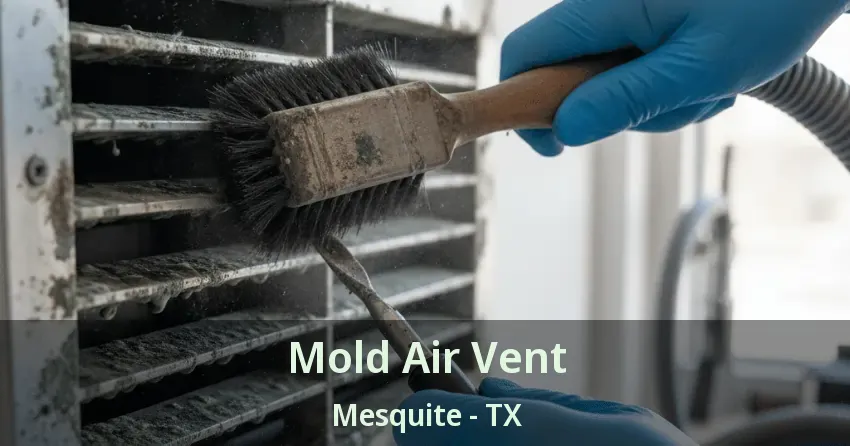 Mold Air Vent Mesquite - TX