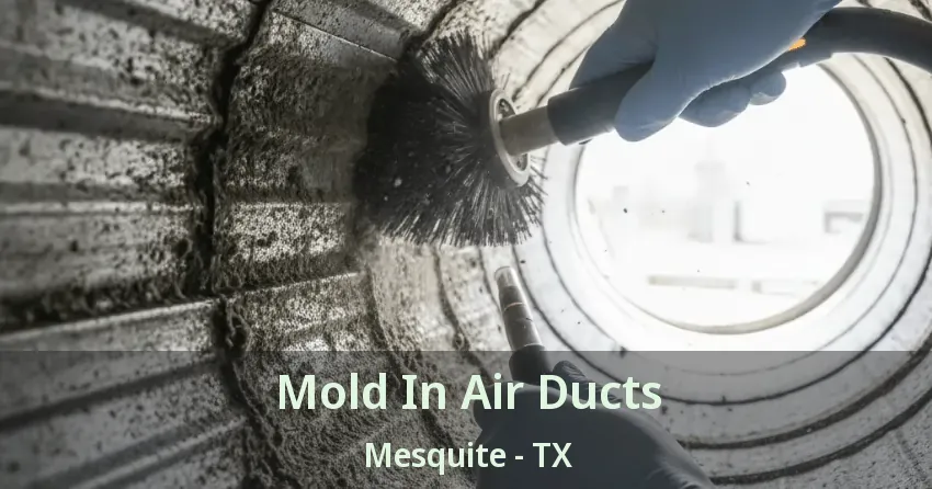 Mold In Air Ducts Mesquite - TX