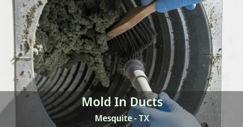 Mold In Ducts Mesquite - TX