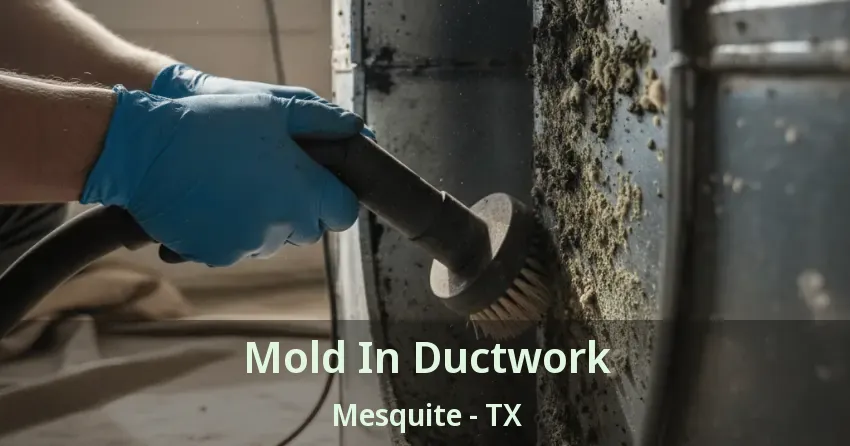 Mold In Ductwork Mesquite - TX