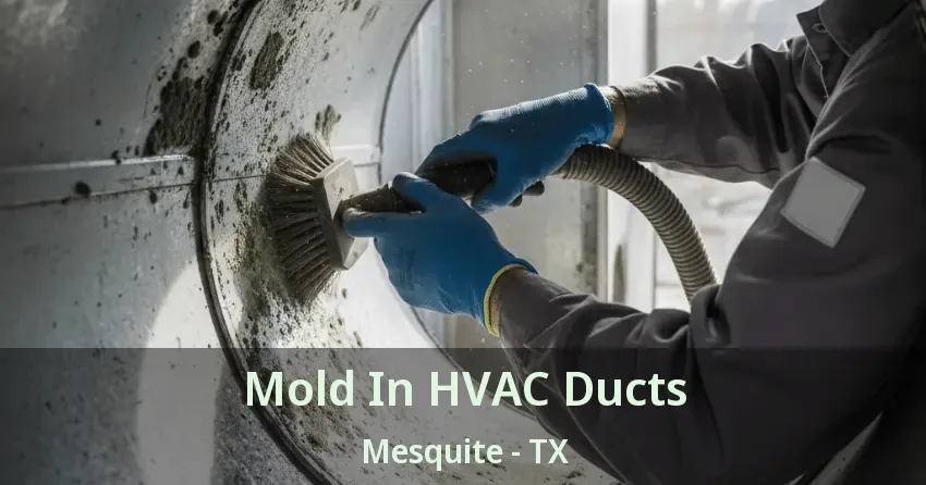 Mold In HVAC Ducts Mesquite - TX