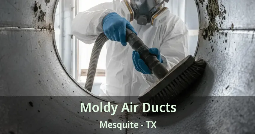 Moldy Air Ducts Mesquite - TX Moldy Air Ducts Mesquite - TX